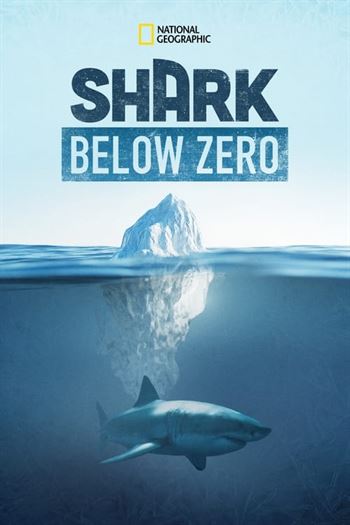 Shark Below Zero Torrent (2023) WEB-DL 720p | 1080p Dual Áudio e Legendado