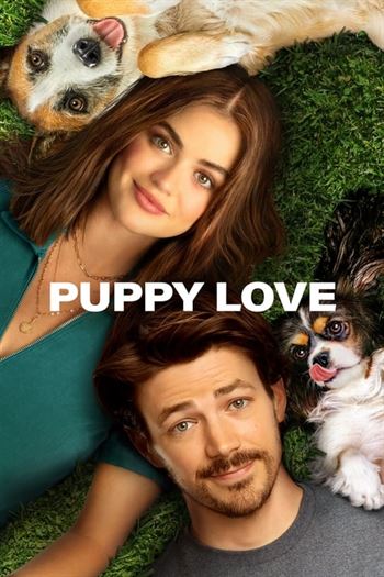 Puppy Love Torrent (2023) WEB-DL 720p | 1080p | 2160p Dual Áudio e Legendado