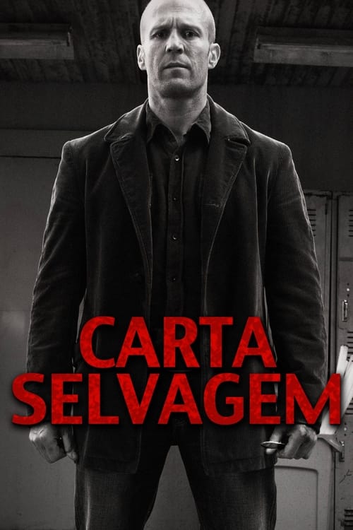Carta Selvagem Torrent (2015) BluRay 720p | 1080p Dublado e Legendado